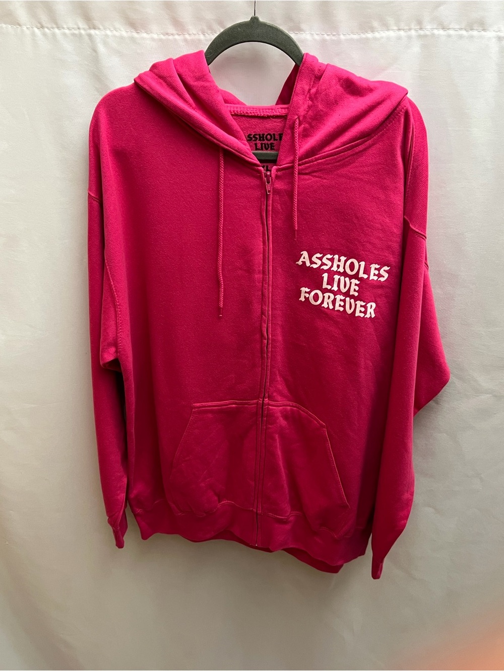 Assh**es Live Forever Pink Zip Hoodie Women’s XL Graphic Logo Oversized